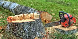  Quitman, TX Tree Services Pros