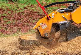 Best Storm Damage Tree Cleanup  in Quitman, TX