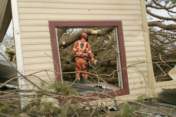 How Our Tree Care Process Works  in  Quitman, TX